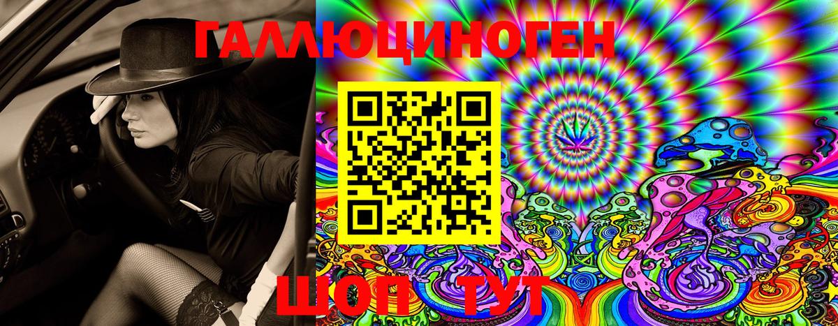 Галлюциногенные грибы Cubensis Прохладный